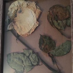 Meet your Posher, Brianne